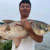 小苟钓鲢鳙🎣
