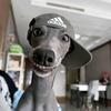 看似情绪稳定 实则早就疯了