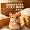 米仓小主