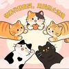 包头小猫找领养