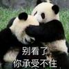 哦，爱情啊。