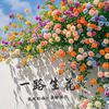 小小韩
