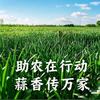 新农人小圆