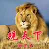 观天下剧场