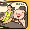 中山旭日驾校总校招生