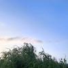小刘@