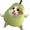 理理梨梨🐱
