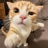 AI视频短剧