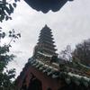 羚羊挂角