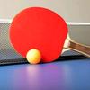 乒乓球