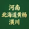 河南潢川北海道黄杨紫竹窝竹金镶玉竹慈孝竹