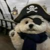 沉冬