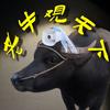 老牛观天下