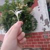爱玩数独的金