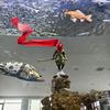 牛魔猴路亚钓鱼