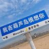 嗷嗷陈ai溜达