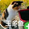 王多鱼🎣²º²⁶