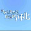 蕊哥