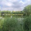 可乐