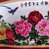 谈若清风㇏拒绝私聊