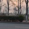 旋璇就是我