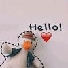 理 想