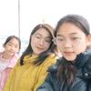 晓晓苑🌸⃟