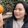 王明丹