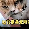 胖子🫥🫥🫥🫥