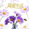 简爱生活