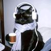 薛定谔的猫