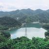 仙居杨梅监查