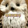福朋喜来登（鹰眼视频）