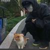 柠檬