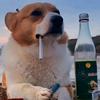 岗李伟嘉酒吧经理