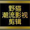 野猫潮流影视剪辑