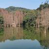 百家味湖南米粉官方号