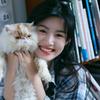 一只🐱