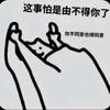 ~由不得你