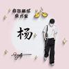 阜杨柜装