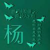 飞扬