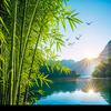钧豪妈咪