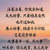 东方森林(关必回)