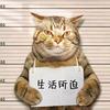 搞笑老头