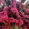 诺宝甄选