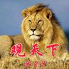 观天下829