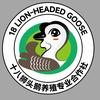 澄海十八狮头鹅养殖