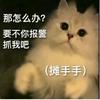 只吃78不吃苦！