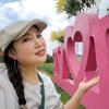 扶摇直上