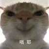 天天开心T.🏸